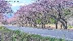 takano5-20250502084112.jpg