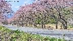 takano5-20250502085112.jpg