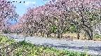 takano5-20250502090114.jpg