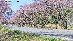 takano5-20250502091113.jpg