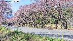 takano5-20250502092111.jpg