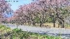 takano5-20250502093116.jpg