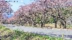 takano5-20250502094114.jpg