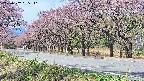 takano5-20250502095112.jpg