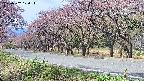 takano5-20250502100113.jpg