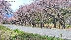 takano5-20250502105112.jpg