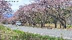 takano5-20250502110112.jpg