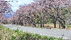 takano5-20250502111114.jpg