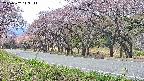 takano5-20250502113112.jpg
