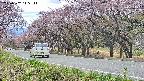 takano5-20250502115112.jpg