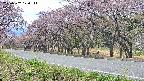 takano5-20250502120112.jpg