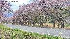 takano5-20250502124112.jpg