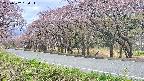takano5-20250502130114.jpg