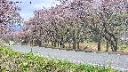 takano5-20250502131113.jpg