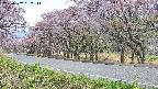 takano5-20250502132112.jpg