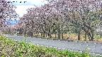takano5-20250502134112.jpg