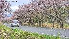 takano5-20250502140114.jpg