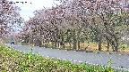 takano5-20250502142111.jpg