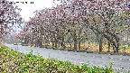 takano5-20250502143112.jpg
