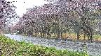 takano5-20250502151110.jpg