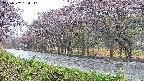 takano5-20250502154111.jpg