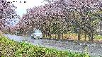 takano5-20250502155113.jpg