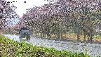 takano5-20250502161113.jpg