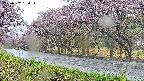 takano5-20250502164114.jpg