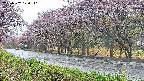 takano5-20250502170111.jpg