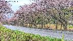 takano5-20250502173113.jpg
