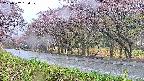 takano5-20250502180111.jpg
