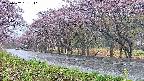 takano5-20250502181112.jpg