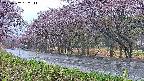 takano5-20250502182112.jpg