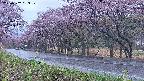 takano5-20250502183110.jpg