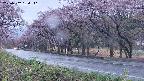 takano5-20250502184111.jpg