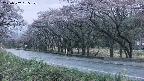 takano5-20250502185110.jpg