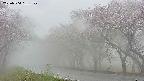 takano5-20250504051107.jpg