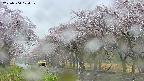 takano5-20250504104109.jpg