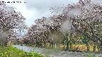 takano5-20250504115108.jpg