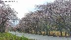 takano5-20250504142109.jpg