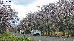 takano5-20250504154109.jpg