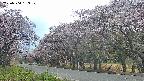 takano5-20250504163109.jpg