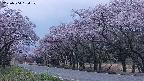takano5-20250504184109.jpg