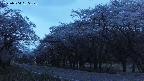 takano5-20250504185107.jpg