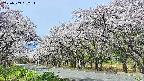 takano5-20250509092114.jpg
