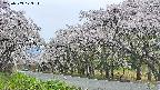 takano5-20250509173113.jpg