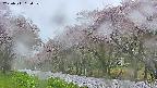 takano5-20250511050111.jpg