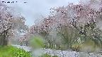 takano5-20250511051109.jpg