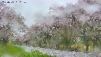 takano5-20250511052108.jpg