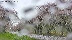 takano5-20250511055110.jpg